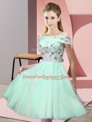 Stunning Apple Green Empire Appliques Damas Dress Lace Up Tulle Short Sleeves Knee Length