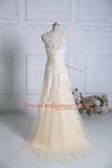 Latest V-neck Sleeveless Brush Train Zipper Homecoming Dress Champagne Tulle