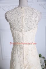 Latest V-neck Sleeveless Brush Train Zipper Homecoming Dress Champagne Tulle