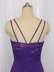 Purple Chiffon Zipper Dress for Prom Sleeveless Floor Length Ruching