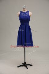 Extravagant Sleeveless Lace Zipper Prom Gown