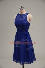Extravagant Sleeveless Lace Zipper Prom Gown