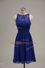 Extravagant Sleeveless Lace Zipper Prom Gown