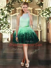 Sleeveless Ruffles Zipper Evening Dress