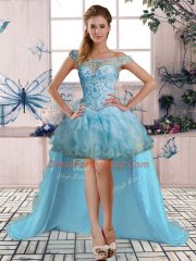 Custom Fit Organza Sleeveless Floor Length Quinceanera Gowns and Beading and Ruffles