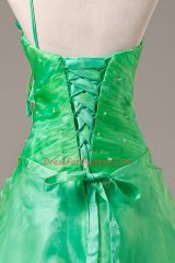 One Shoulder Sleeveless Quinceanera Dresses Floor Length Hand Made Flower Green Organza