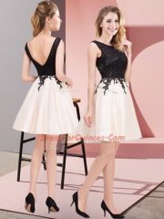 New Arrival Satin Sleeveless Mini Length Dama Dress and Lace