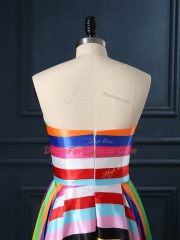 Decent Multi-color Zipper Womens Party Dresses Ruching Sleeveless Floor Length