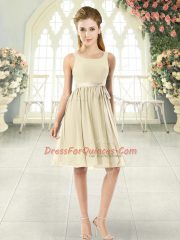 Knee Length Empire Sleeveless Light Yellow Prom Gown Zipper