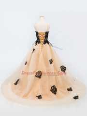 Sleeveless Brush Train Lace Up Appliques Child Pageant Dress