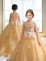 Gold Ball Gowns Beading and Appliques Little Girls Pageant Gowns Zipper Organza Sleeveless