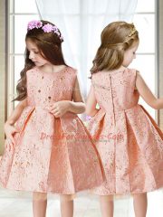 Custom Design Sleeveless Mini Length Embroidery Zipper Little Girls Pageant Dress Wholesale with Pink