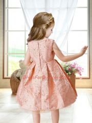 Custom Design Sleeveless Mini Length Embroidery Zipper Little Girls Pageant Dress Wholesale with Pink
