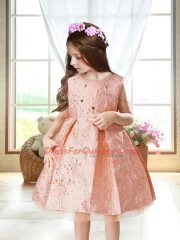 Custom Design Sleeveless Mini Length Embroidery Zipper Little Girls Pageant Dress Wholesale with Pink