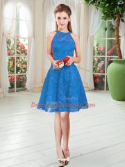 Sleeveless Lace Zipper Prom Evening Gown