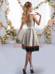 Hot Sale Strapless Sleeveless Tulle Quinceanera Dama Dress Bowknot Zipper