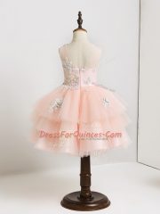 Pink Ball Gowns Tulle V-neck Sleeveless Appliques Mini Length Zipper Flower Girl Dress