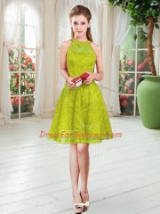 Captivating Sleeveless Lace Zipper Prom Gown