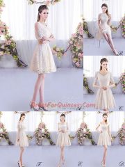 Short Sleeves Lace Up Mini Length Lace Quinceanera Court of Honor Dress