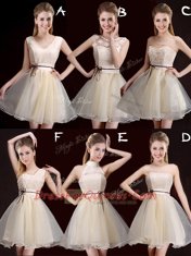 Dynamic Scoop Champagne Organza Lace Up Vestidos de Damas Sleeveless Mini Length Lace