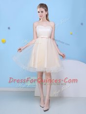 Champagne Tulle Lace Up Sweetheart Sleeveless Knee Length Damas Dress Bowknot