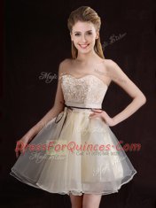 Champagne Lace Up Quinceanera Court Dresses Appliques and Belt Sleeveless Mini Length