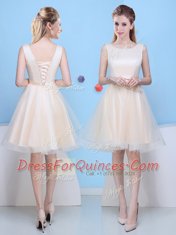 Scoop Sleeveless Tulle Knee Length Lace Up Vestidos de Damas in Champagne with Bowknot