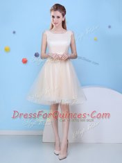 Scoop Sleeveless Tulle Knee Length Lace Up Vestidos de Damas in Champagne with Bowknot
