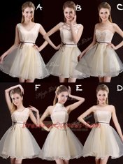 Fashion Champagne A-line Lace and Appliques and Belt Damas Dress Lace Up Organza Sleeveless Mini Length