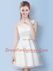 Flirting One Shoulder White A-line Bowknot Quinceanera Court of Honor Dress Lace Up Tulle Sleeveless Knee Length
