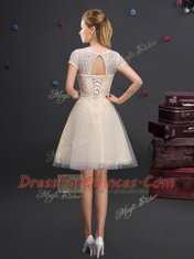 Customized Champagne Scoop Lace Up Lace and Appliques and Belt Vestidos de Damas Short Sleeves