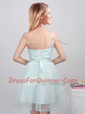 Eye-catching One Shoulder Sleeveless Lace Up Court Dresses for Sweet 16 Apple Green Tulle