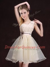 Shining One Shoulder Sleeveless Organza Dama Dress Appliques and Belt Lace Up