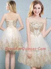 Scoop Sleeveless Tulle Quinceanera Court Dresses Appliques Lace Up