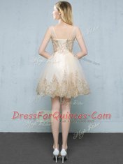 Scoop Sleeveless Tulle Quinceanera Court Dresses Appliques Lace Up