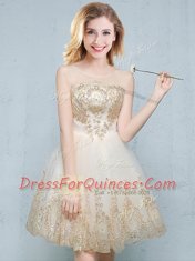 Scoop Sleeveless Tulle Quinceanera Court Dresses Appliques Lace Up