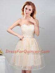 Simple Off the Shoulder Sleeveless Mini Length Lace and Appliques and Belt Lace Up Dama Dress for Quinceanera with Champagne