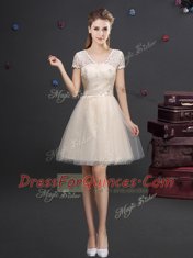 Fantastic Champagne Tulle Lace Up Vestidos de Damas Short Sleeves Mini Length Lace and Appliques and Belt