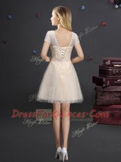 Fantastic Champagne Tulle Lace Up Vestidos de Damas Short Sleeves Mini Length Lace and Appliques and Belt