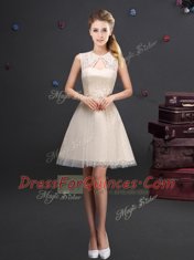 Noble Tulle High-neck Sleeveless Lace Up Lace and Appliques and Belt Quinceanera Court of Honor Dress in Champagne