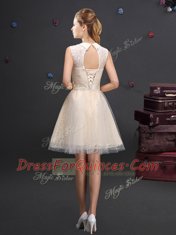 Noble Tulle High-neck Sleeveless Lace Up Lace and Appliques and Belt Quinceanera Court of Honor Dress in Champagne