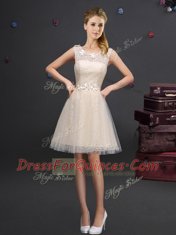 Top Selling Scoop Mini Length A-line Sleeveless Champagne Damas Dress Lace Up