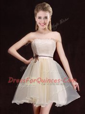 Low Price Champagne Sleeveless Mini Length Lace Lace Up Quinceanera Court of Honor Dress