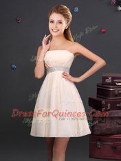 Trendy Sleeveless Zipper Mini Length Ruffles and Sequins and Ruching and Bowknot and Hand Made Flower Quinceanera Dama Dress