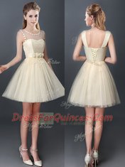 Extravagant Tulle Scoop Sleeveless Lace Up Lace and Hand Made Flower Damas Dress in Champagne