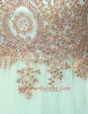 Cheap Scoop Sleeveless Organza Mini Length Zipper Prom Evening Gown in Apple Green with Beading and Appliques