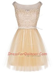 Champagne Tulle Zipper Sleeveless Mini Length Lace