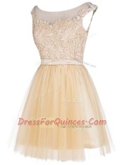 Champagne Tulle Zipper Sleeveless Mini Length Lace