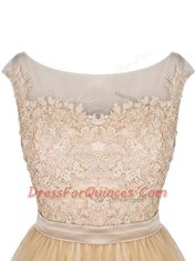 Champagne Tulle Zipper Sleeveless Mini Length Lace