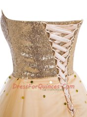 Champagne Lace Up Prom Gown Sequins Sleeveless Mini Length